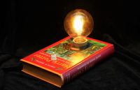 VINTAGE BUCHLAMPE Harry Potter und der Kammer des Schreckens Hessen - Eppstein Vorschau