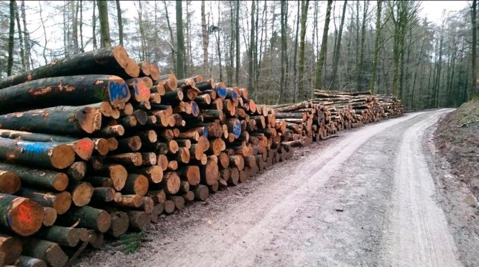 Buchen Brennholz trocken und Ofenfertig im Frühjahrsangebot! in Lohfelden