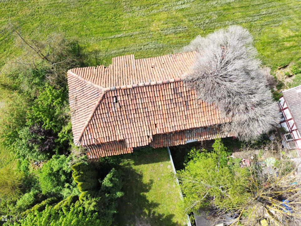 Denkmal Forsthaus Grundstück, Nebengelass, Ruhe und genehmigte Förderung zum Ausbau in Bendeleben