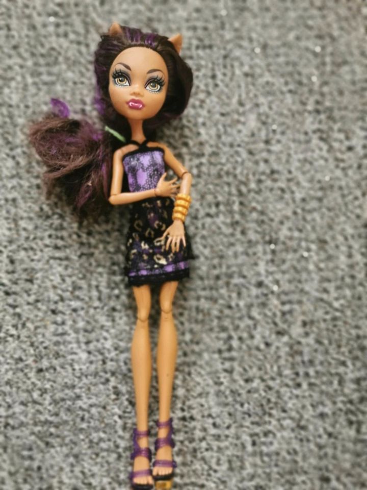 Monster high Puppen in Kiel