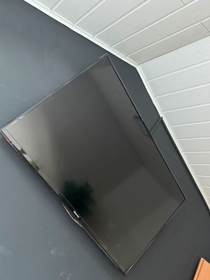 Hisense 55 Zoll tv in Pöttmes