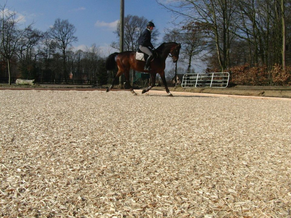 Holz-Sticks / Reiterspäne für Reitplatz, Paddock, Reitboden in Neuenkirchen - Merzen