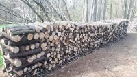 Brennholz Hartholz geschnitten von 100% Ahorn Bäume Bayern - Untergriesbach Vorschau