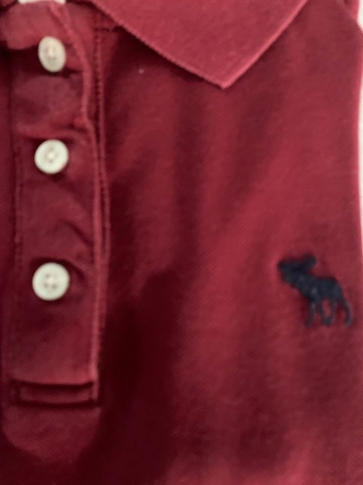 versch. Polo-Shirts Gr. M v. " Abercrombie & Fitch" in Obertraubling