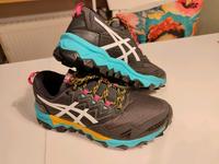 Asics Gel-FujiTrabuco 8 G-TX Damen Trailrunning Laufschuhe Rheinland-Pfalz - Ingelheim am Rhein Vorschau
