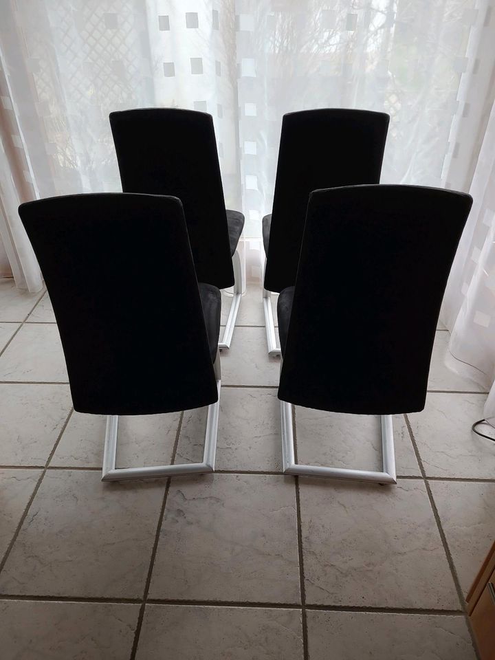 Set 4 Stühle Esszimmer schwarz Freischwinger Schwingstuhl in Heimsheim