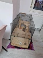 Hamster käfig Nordrhein-Westfalen - Rheine Vorschau