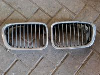 Bmw Frontgrill Niere Grill rechts links 511381596240 E46 Niedersachsen - Lohne (Oldenburg) Vorschau