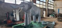 Elefant Karneval Nordrhein-Westfalen - Kall Vorschau