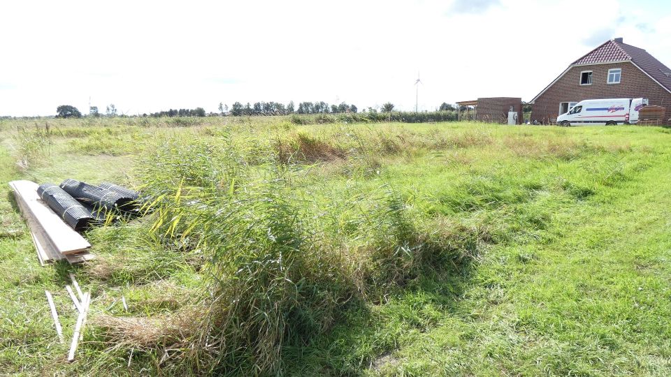 Wohnen wo andere Urlaub machen nahe Greetsiel in Grimersum