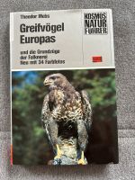 Greifvögel Europas Hessen - Waldkappel Vorschau