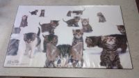 Schreibunterlage Katzen 64 cm breit x 39 cm hoch Brandenburg - Schwedt (Oder) Vorschau