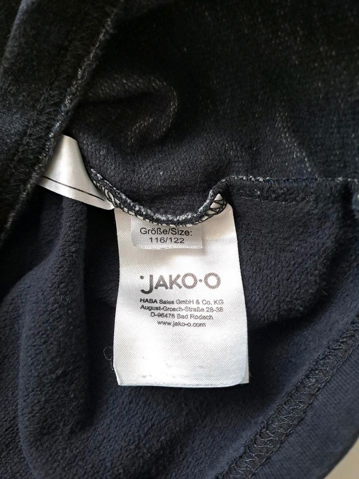 Jako-o Pulli Sweatshirt Dino T Rex in Ebstorf