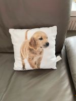 Hund Kissen Golden Retriever 28x28 **TOP** Nordrhein-Westfalen - Hagen Vorschau