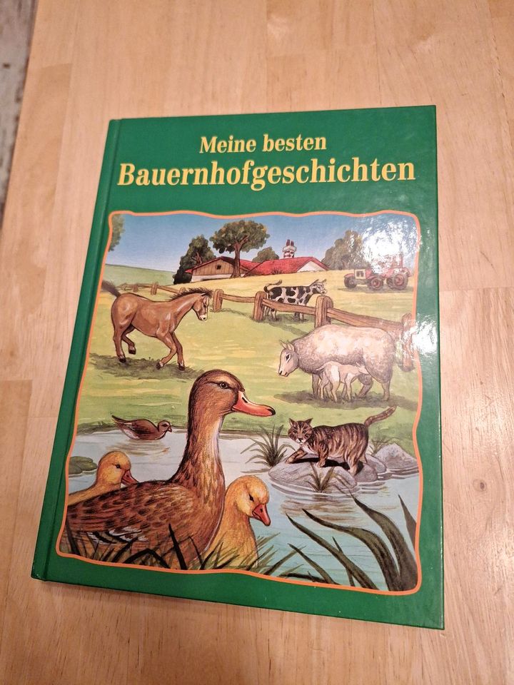 Kinderbuch Meine besten Bauerhofgeschichten in Burgwald