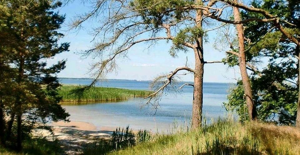 Ferienwohnung Stettiner Haff in Ahlbeck