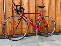 Trek Madone 5.5 CD Rennrad Bayern - Oberstdorf Vorschau