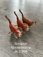 Schleichtiere Schleswig-Holstein - Norderbrarup Vorschau