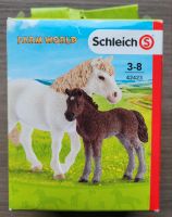 NEU Schleich Farm World, Pferd und Fohlen Set Hessen - Lich Vorschau