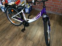 Mädchen Kinderfahrrad 7 Gang Nexon Vollausstattung Korb Shimano Eimsbüttel - Hamburg Stellingen Vorschau