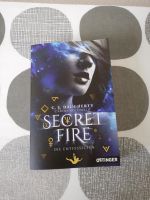 Secret Fire (Die Entfesselten) von C. J. Daugherty Sachsen - Ostrau Vorschau