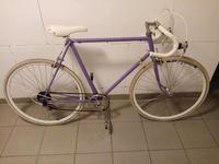 Der Frühling ist da, rauf aufs Rad: Rennrad Diamant DDR Hessen - Bensheim Vorschau