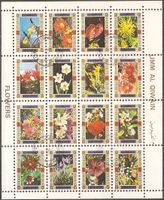 Umm Al Kawain 1050-1065 A KB ° Flora Blumen Pflanzen - Orchideen Nordrhein-Westfalen - Kamen Vorschau