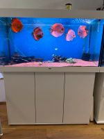 Aquarium Auflösung Bayern - Kempten Vorschau