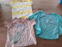 3 tshirts shirts 122 Rheinland-Pfalz - Winkel (Eifel) Vorschau