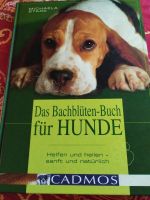 Das Bachblüten Buch für Hunde 10€ Bayern - Schwanstetten Vorschau