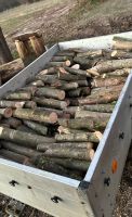 Holz zum Feuern Hessen - Lollar Vorschau