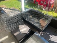 Kleintier Stall + Zubehör Auslauf Sonnenschutz Hase Meerschwein Bayern - Regensburg Vorschau