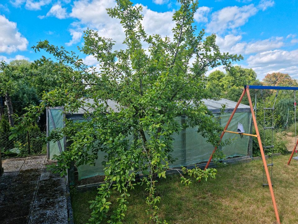 Kleingärten im KVG Sonnenschein in Wolfsburg