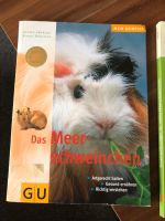 Meerschweinbücher Sachsen - Bannewitz Vorschau