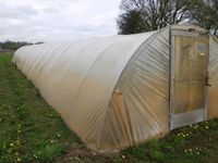 Folientunnel Gewächshaus Garten Niedersachsen - Rhede Vorschau