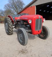 Massey Ferguson Typ 35 Hessen - Rodgau Vorschau