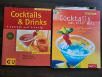Cocktails Bücher Rheinland-Pfalz - Hatzenport Vorschau