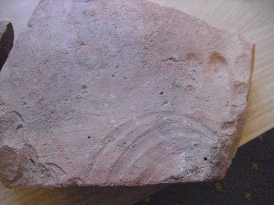 Antike römische Ziegelsteine mit Abdruck von Tierpfoten in Steinfeld