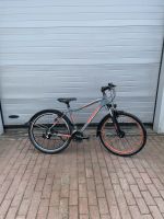 Grecos Fahrrad (26) Nordfriesland - Husum Vorschau