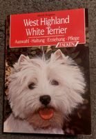 West Highland White / Weiss Terrier Falken Verlag Niedersachsen - Vastorf Vorschau