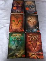 Warrior Cats Staffel 2 Band 1 bis 6 gebundene Ausgabe Rheinland-Pfalz - Idar-Oberstein Vorschau