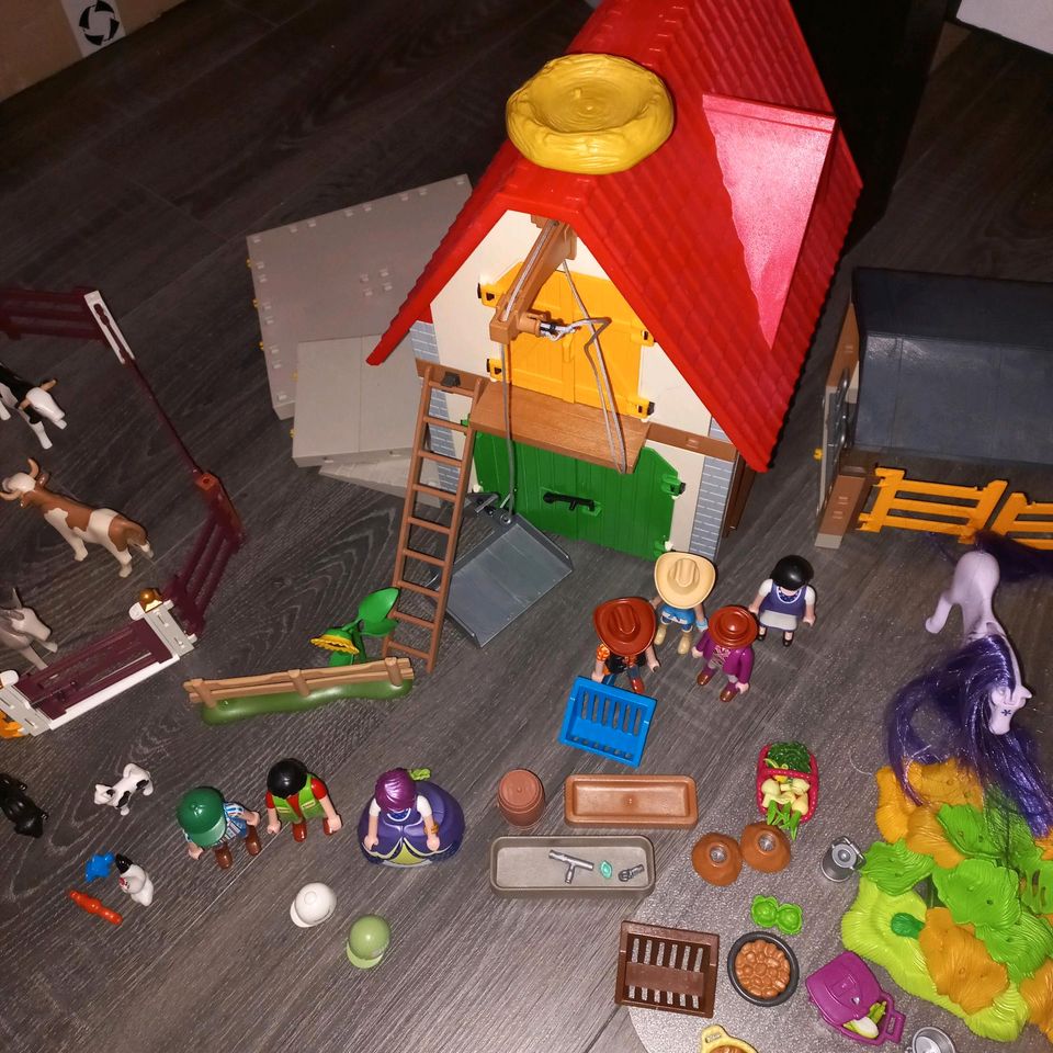 Playmobil Bauernhof / Country in Weitefeld