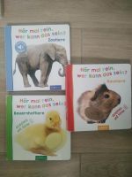 Babybücher Kinderbücher Hör mal rein, wer kann das sein Dingdong Sachsen - Radeberg Vorschau