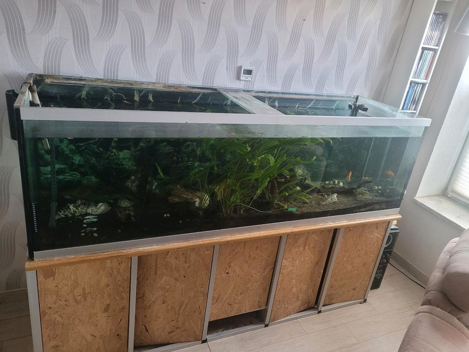 Aquarium ca 700 Liter in Sanzkow