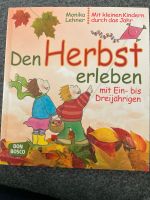 Buch „Den Herbst erleben“ mit Ein- bis Dreijährigesn Nürnberg (Mittelfr) - Aussenstadt-Sued Vorschau