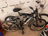 2 Fähräder zu verkaufen kann auch einzeln erworben werden Nordrhein-Westfalen - Siegen Vorschau