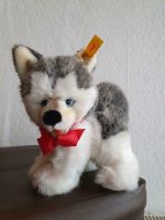 Steiff Husky "Pummy", 22 cm, selten, NEU Nordrhein-Westfalen - Rösrath Vorschau