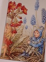 Buch Elfen Blüten Poesie Frühling Sommer Herbst u. Winter vintage Nordrhein-Westfalen - Jüchen Vorschau