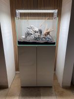 ADA Amano Cube Aquarium komplett mit Eheim Filter Nordrhein-Westfalen - Dinslaken Vorschau