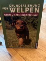 Welpen Erziehung  Fichtlmeier Hundeschule Nordrhein-Westfalen - Herscheid Vorschau